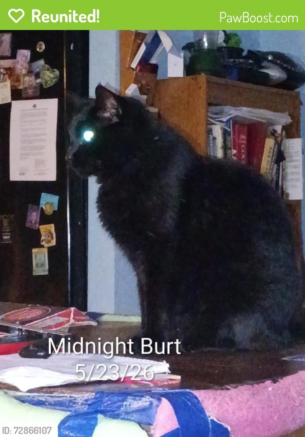 Reunited Male Cat last seen W.55th Place & S. 41st  Ave , Tulsa, OK 74107