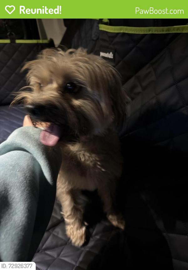 Reunited Male Dog last seen Mainlands 7 neighborhood in Tamarac, Tamarac, FL 33319