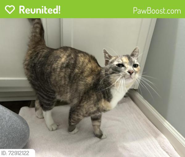 Reunited Unknown Cat last seen 109th and winnetka , Brooklyn Park, MN 55445