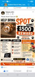 Lost Male Cat last seen Potranco, San Antonio, TX 78253