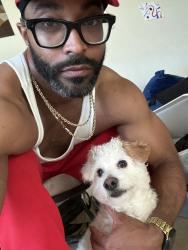 Found/Stray Male Dog last seen McDonald’s , LA FITNESS, Brooklyn, NY 11208
