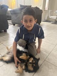 Lost Female Dog last seen Louisiana and Elena dr , Albuquerque, NM 87109