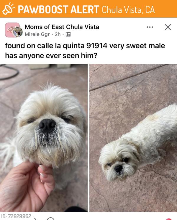 Found/Stray Unknown Dog last seen Mt miguel rd, Chula Vista, CA 91914