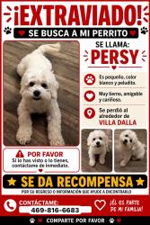 Reunited Male Dog last seen Near Timberglen Road , Dallas, TX 75287