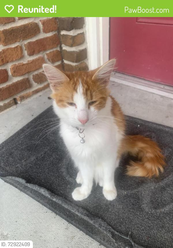 Reunited Male Cat last seen Plover cir, Texas City, TX 77591