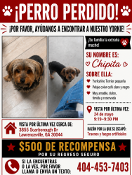 Lost Male Dog last seen Lawrenceville, Gwinnett County, GA 30044