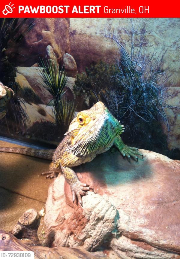 Lost Unknown Reptile last seen Thresher / burg, Granville, OH 43023