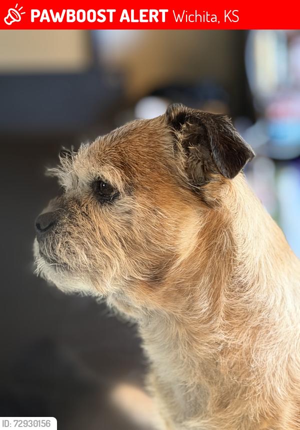 Lost Male Dog last seen Central & Doris , Wichita, KS 67212