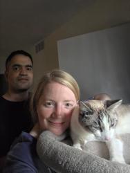 Reunited Male Cat last seen Meadowlawn drive and heinens , Mentor, OH 44060