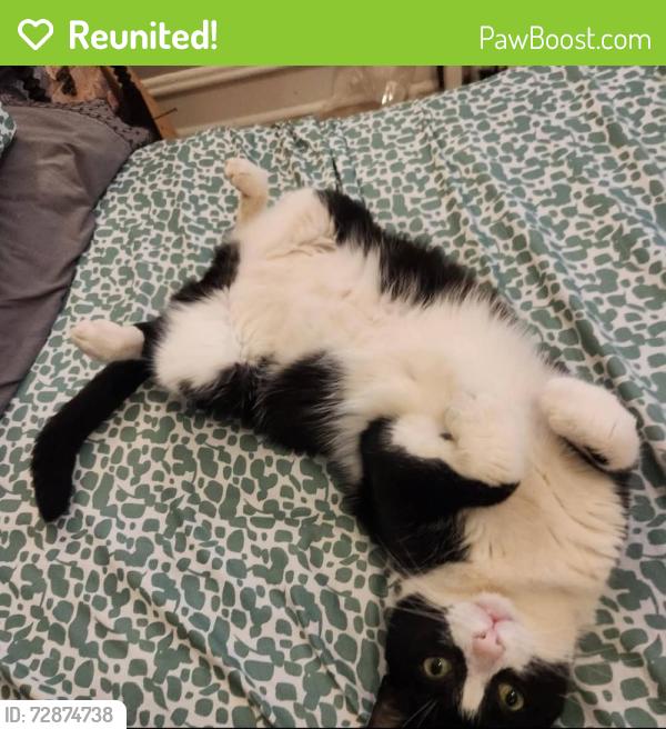 Reunited Male Cat last seen Newkirk Street & Morris Street, Philadelphia, PA 19145