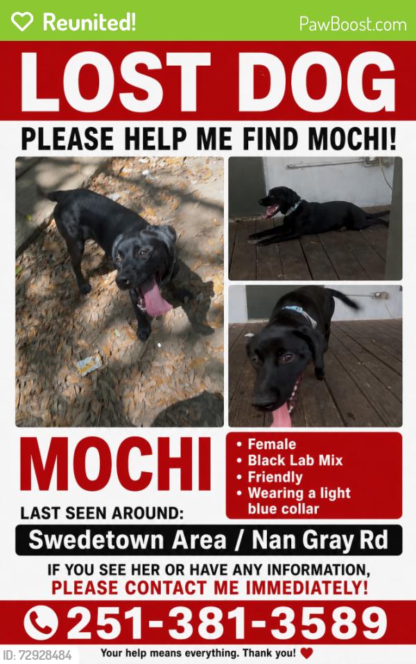 Reunited Female Dog last seen swedetown / Nan Gray rd area , Theodore, AL 36582