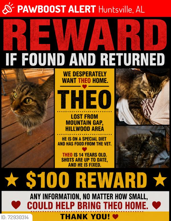 Lost Male Cat last seen Hillwood Drive, Huntsville, AL 35803