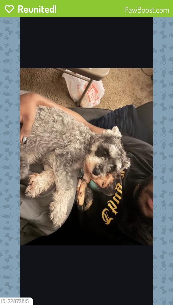 Reunited Male Dog last seen Near Artemis Drive , San Antonio, TX 78218