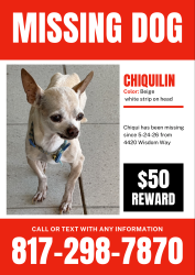 Reunited Male Dog last seen Near Wisdom Way , Haltom City, TX 76117