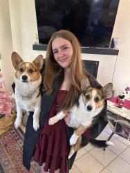 Reunited Female Dog last seen Tellbrook rd, Las Cruces, NM 88011