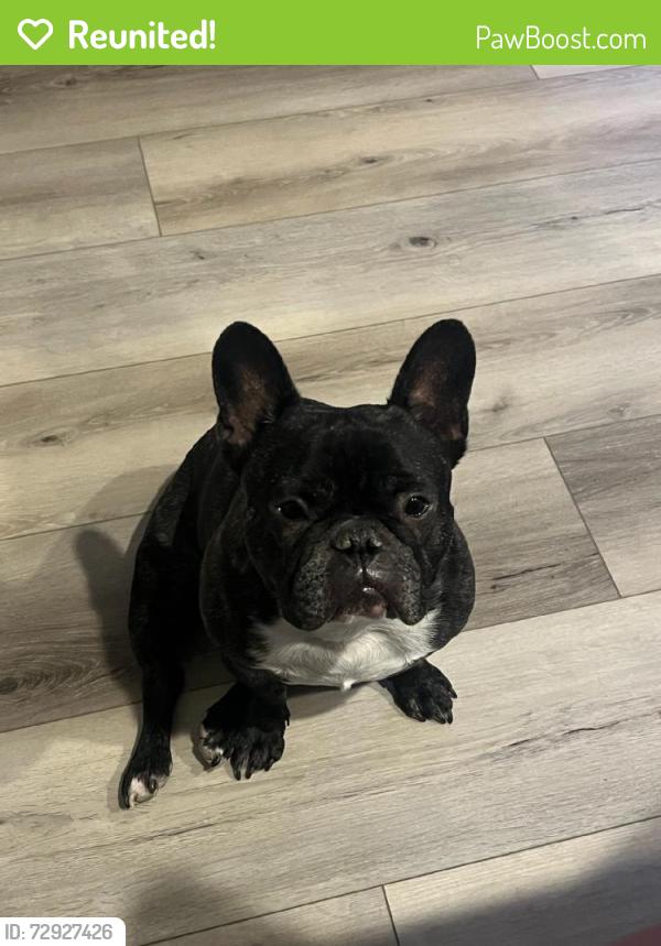 Reunited Male Dog last seen Near Bullring Ln, Las Vegas, NV 89130, USA, Las Vegas, NV 89130