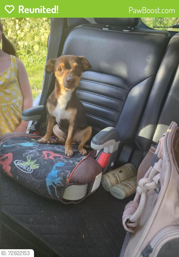 Reunited Male Dog last seen Lime kiln road , Grass Valley, CA 95949