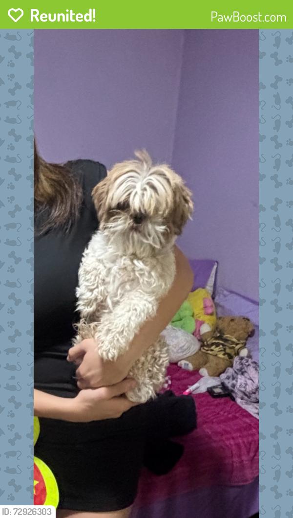 Reunited Male Dog last seen Solano , Las Cruces, NM 88001
