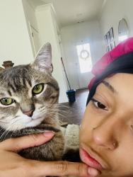 Lost Male Cat last seen Grayson, Loganville, GA 30052