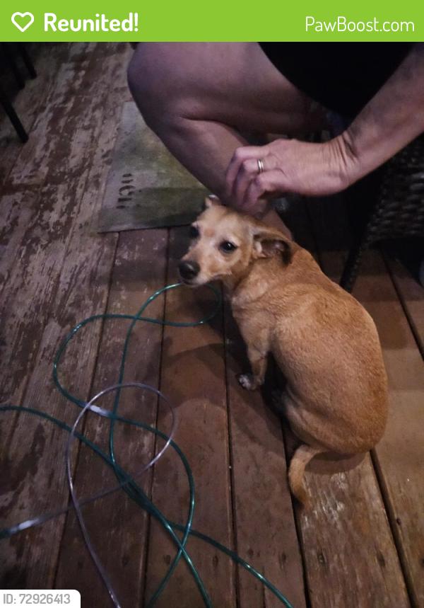 Reunited Unknown Dog last seen Blue sky Dr, Agnes area, Springtown, TX 76082
