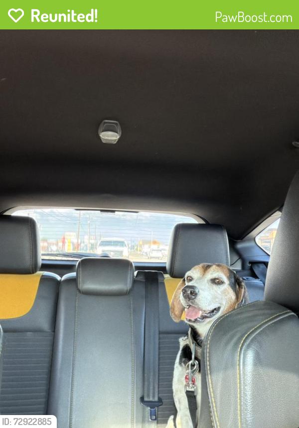 Reunited Male Dog last seen Seminary and I35, Fort Worth, TX 76115