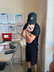 Reunited Male Dog last seen Near W 30th St , Cicero, IL 60804