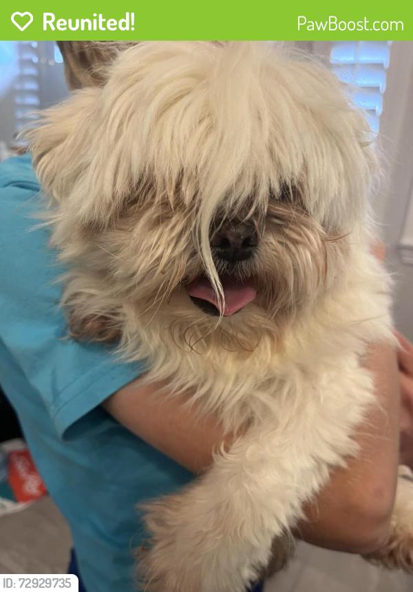 Reunited Female Dog last seen Teel and First, Prosper, TX 75078