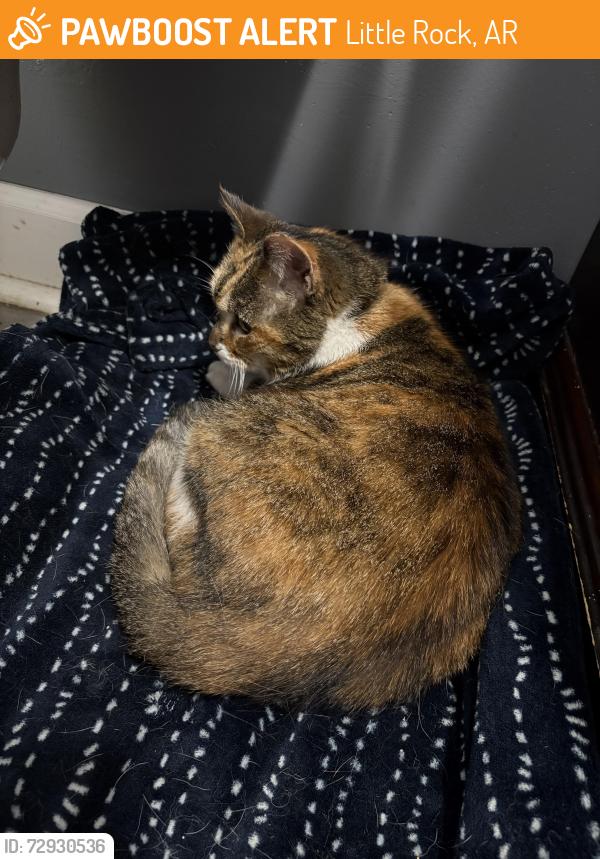 Found/Stray Female Cat last seen Near jerry Dr. , Little Rock, AR 72223