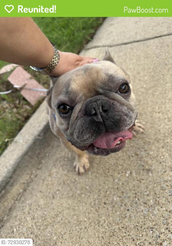 Reunited Unknown Dog last seen Near Kalmia Dr, Arlington, TX 76018, USA, Arlington, TX 76018