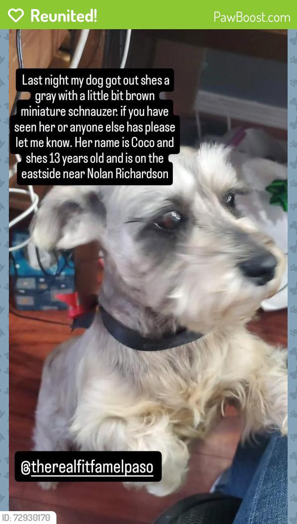 Reunited Female Dog last seen Nolan Richardson , El Paso, TX 79936