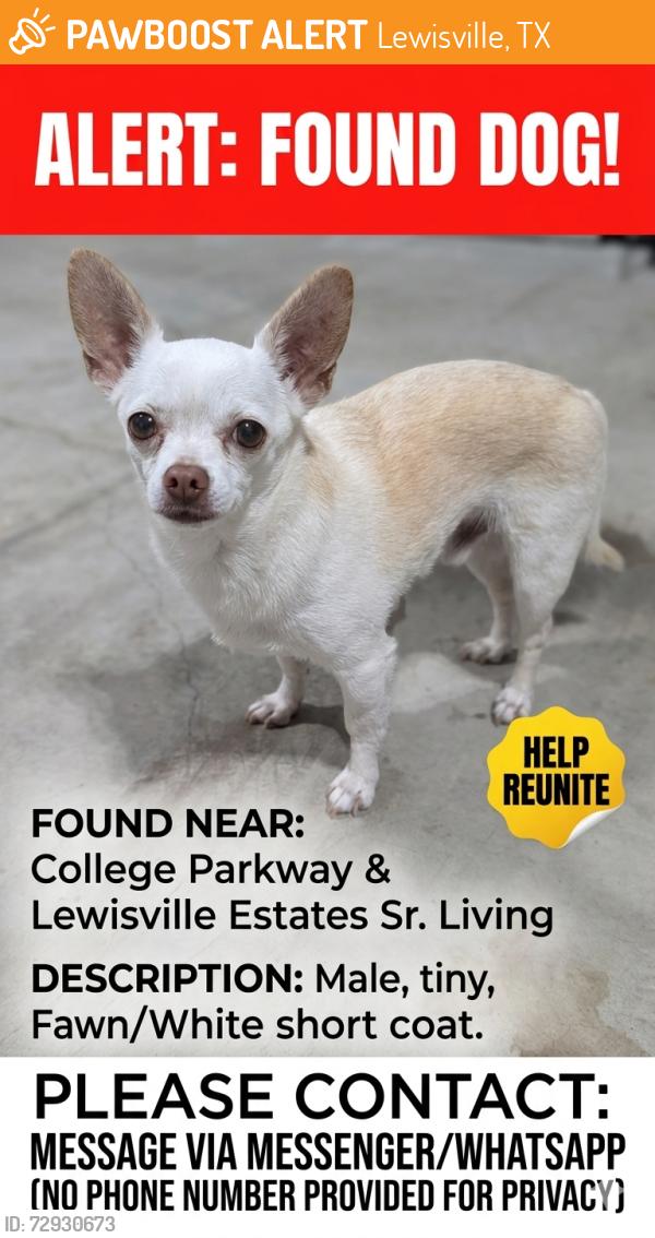 Found/Stray Male Dog last seen College Parkway right outside Lewisville ests Senior Living, Lewisville, TX 75067