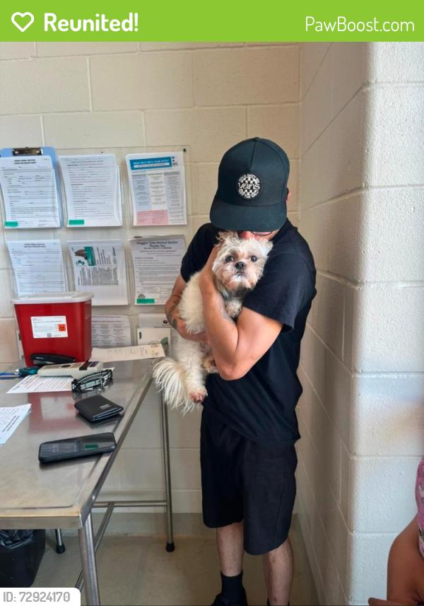 Reunited Male Dog last seen Near W 30th St , Cicero, IL 60804