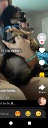 Lost Female Dog last seen Smith store rd , Covington, GA 30016