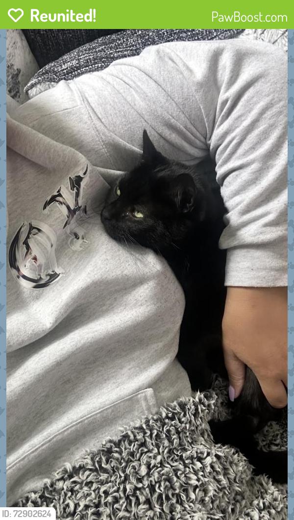 Reunited Male Cat last seen Near e 33rd st, Tulsa, OK 74145