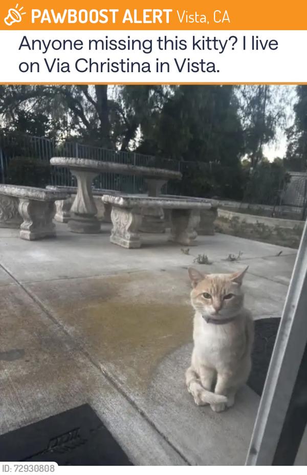 Found/Stray Male Cat last seen Foothill and Via Christina , Vista, CA 92084