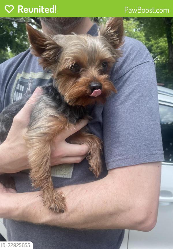Reunited Male Dog last seen Norwood and bowen, Arlington, TX 76013