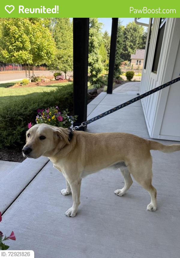 Reunited Male Dog last seen 107th, Orchards, WA 98682