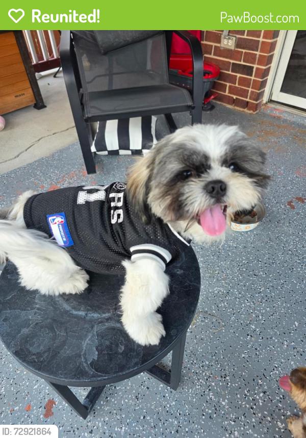 Reunited Male Dog last seen By Sam’s Club on i35N, San Antonio, TX 78233