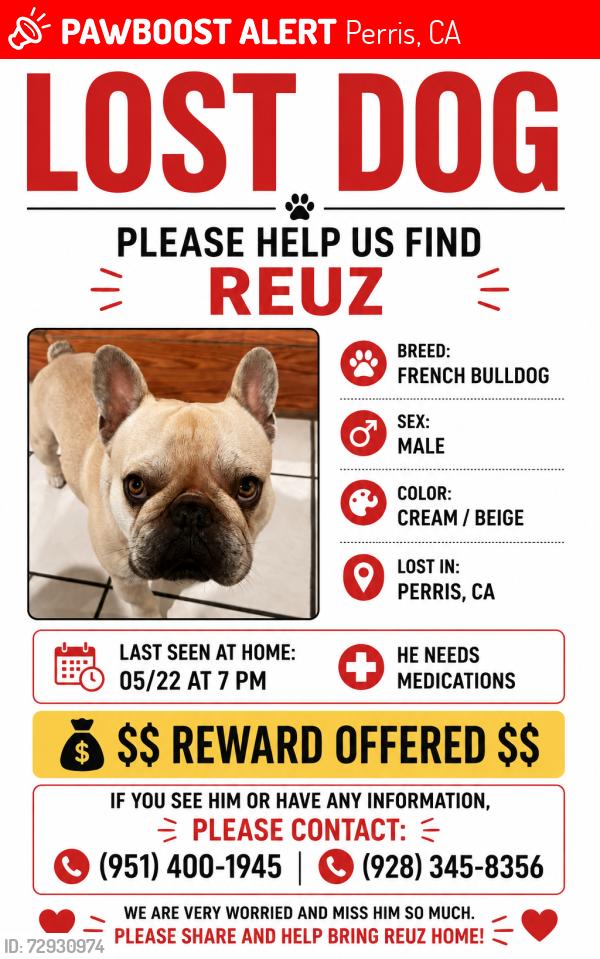 Lost Male Dog last seen Near ocean Ave , Perris, CA 92571