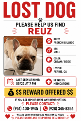 Lost Male Dog last seen Near ocean Ave , Perris, CA 92571