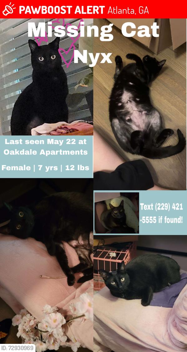 Lost Female Cat last seen Candler park, Atlanta, GA 30307