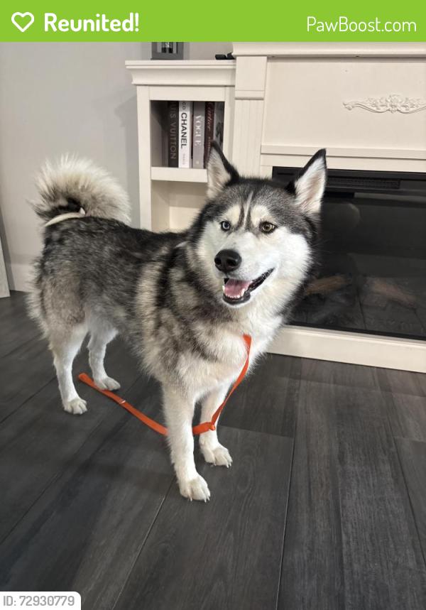 Reunited Female Dog last seen Cranford way , Citrus Heights, CA 95610