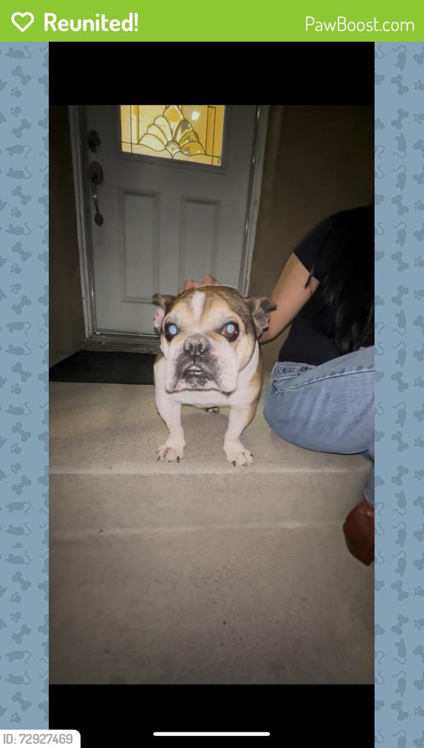 Reunited Male Dog last seen Brea CA, Brea, CA 92821