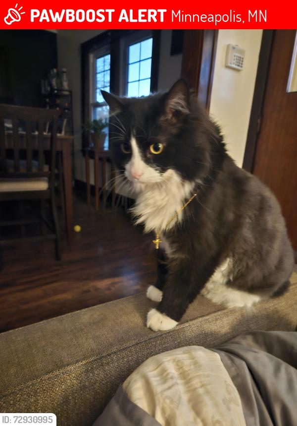 Lost Male Cat last seen 38th street and 16th Ave, Minneapolis, MN 55407