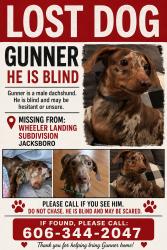 Reunited Male Dog last seen Near Far View Cir, Jacksboro, TN 37757, USA, Jacksboro, TN 37757