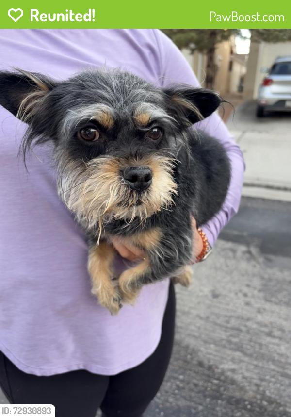 Reunited Male Dog last seen Stanley and Cuba, Albuquerque, NM 87114