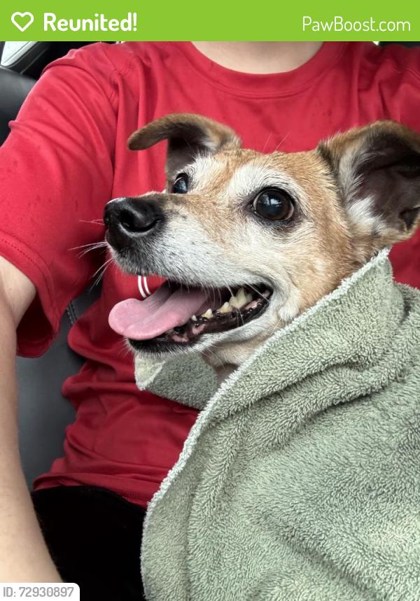 Reunited Unknown Dog last seen Citrus Heights, CA, USA, Citrus Heights, CA 95621