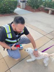 Reunited Female Dog last seen By Palm and e 16th st national city , National City, CA 91950