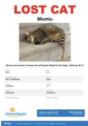Lost Male Cat last seen Hovanec St and Crabtree, San Diego, CA 92114