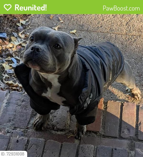 Reunited Female Dog last seen Warinaco Park 07203, Roselle, NJ 07203